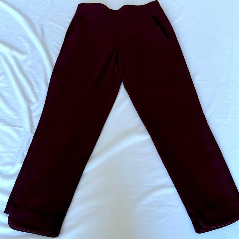 Club Monaco Pants